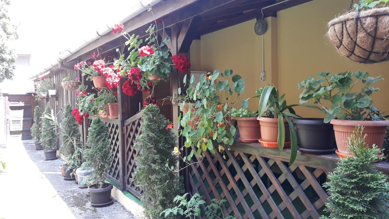 Casa Ioana Brașov