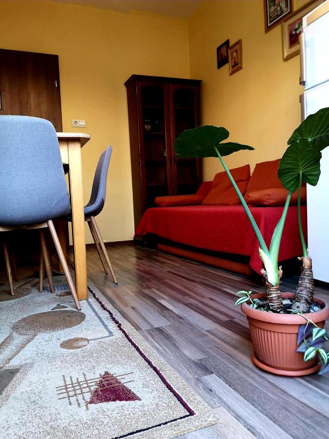 Casa Ioana *
